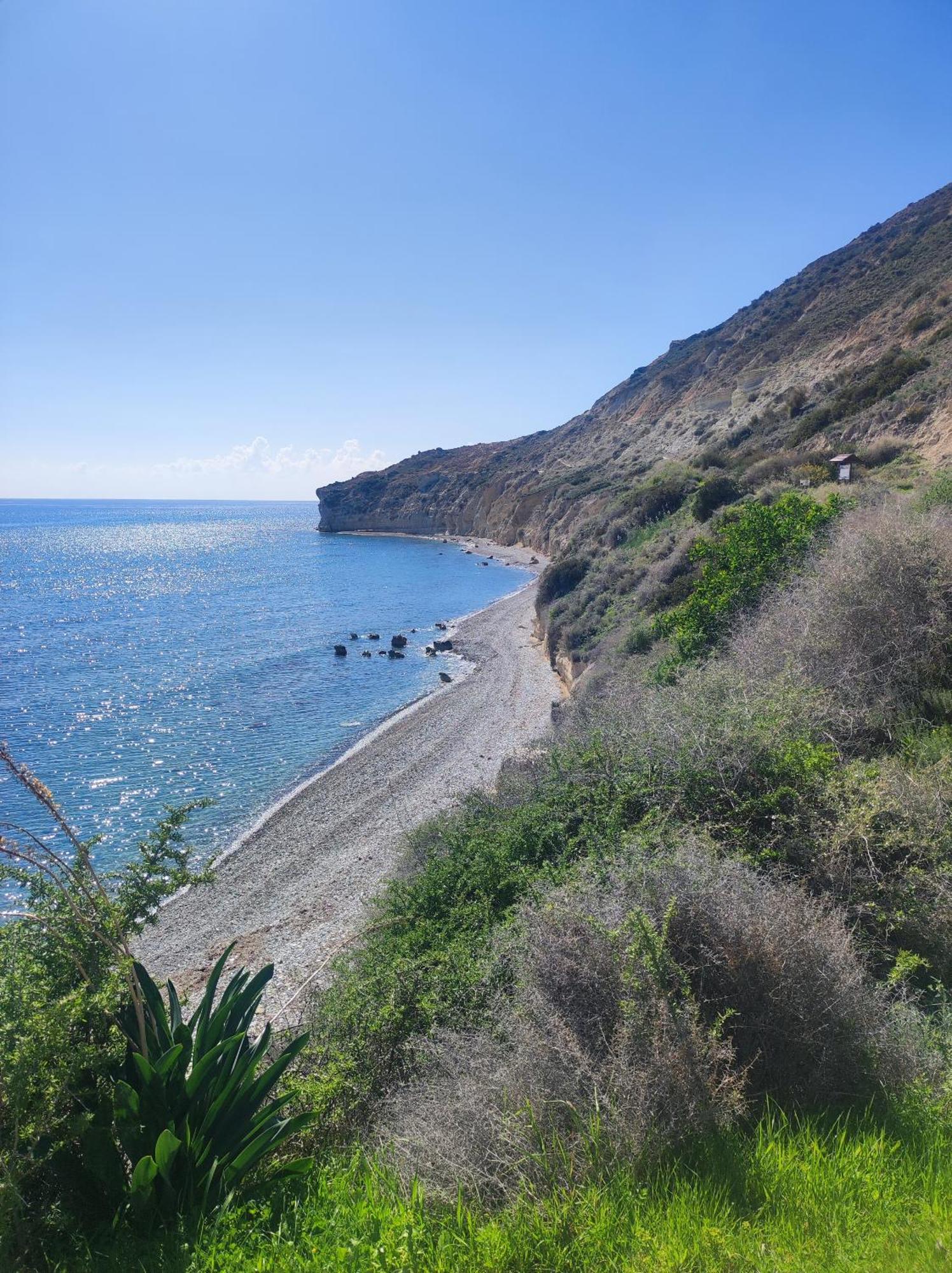 דירות Paphos Marina Gardens מראה חיצוני תמונה