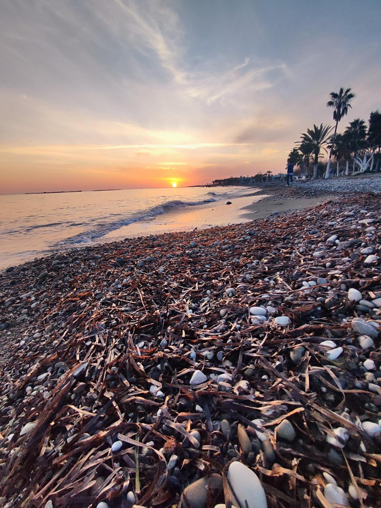 דירות Paphos Marina Gardens מראה חיצוני תמונה